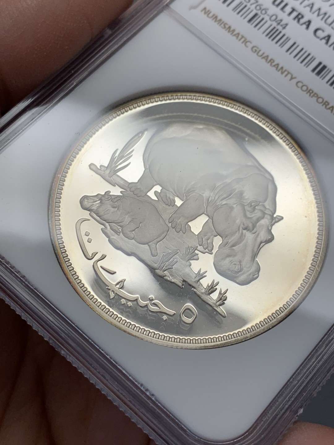 《竞宝斋》第131场-周日，周一连拍 (全场包邮) NGC-PF68 苏丹1976年 保护自然系列河马母子 5镑 精制大银币 少见品种