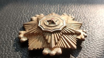 每日随心十拍007 <祼币场> - 朝鲜荣誉勋章一枚