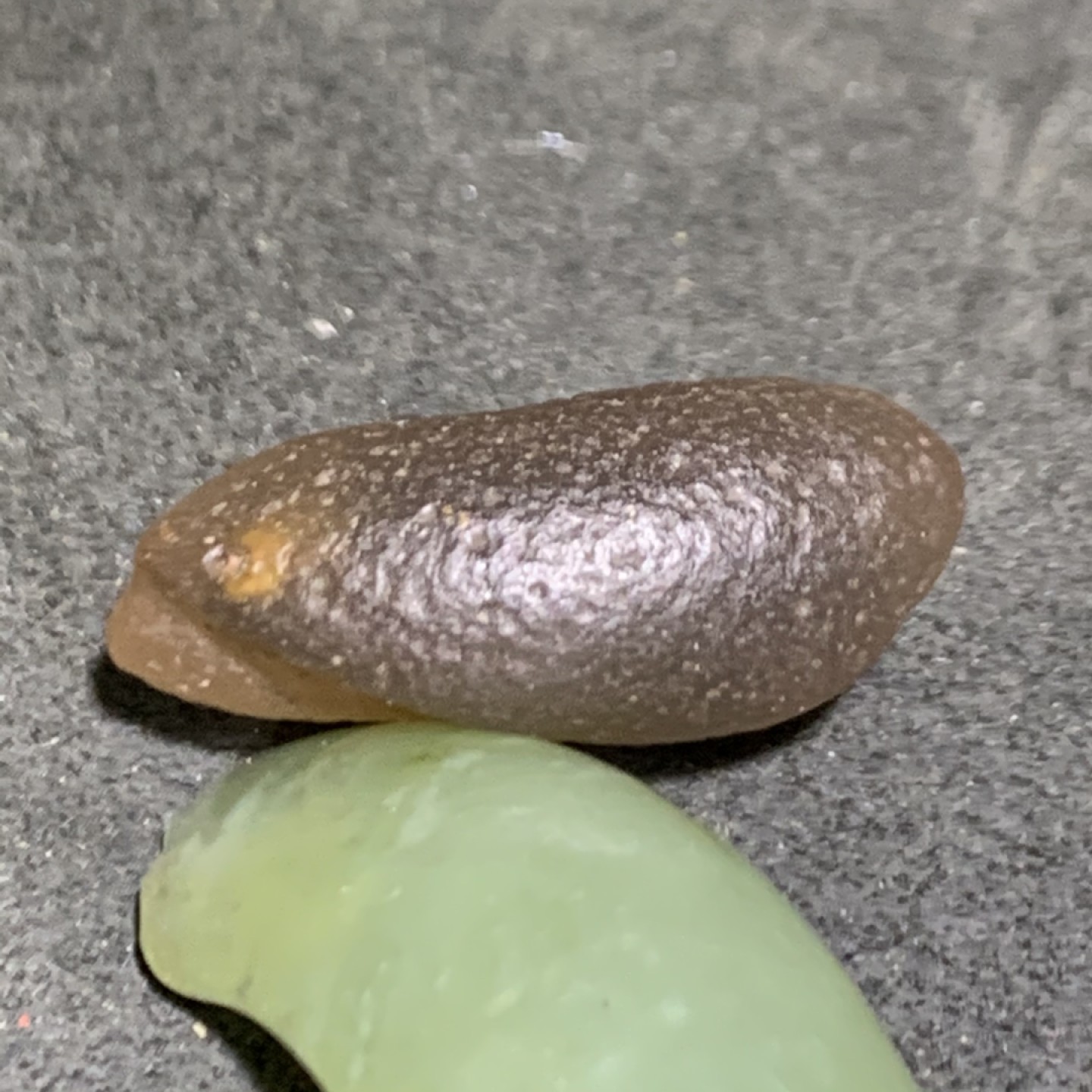 放福利！精美天然戈壁糖心玛瑙原石一颗，