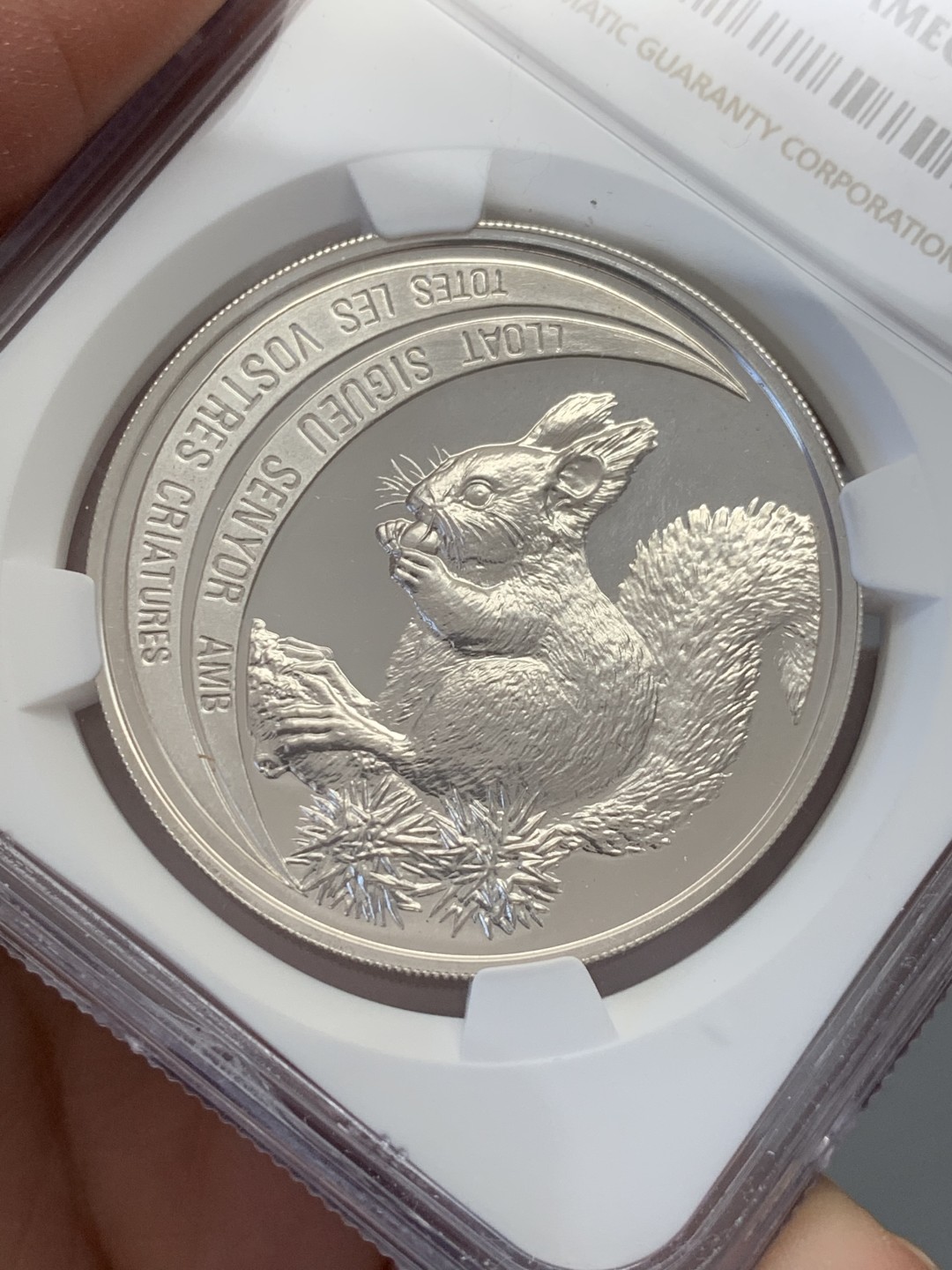 《竞宝斋》第131场-周日，周一连拍 (全场包邮) NGC-PF67 安道尔1992年 保护动物系列松鼠 10第纳尔精制大银币 