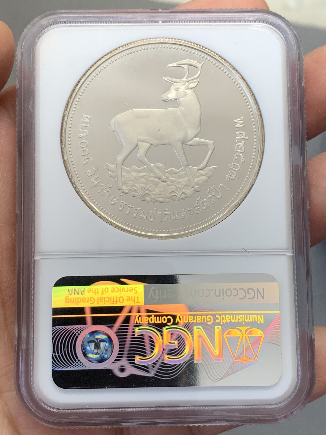 《竞宝斋》第131场-周日，周一连拍 (全场包邮) NGC-PF68 泰国1974年 坡鹿 100泰铢 精制大银币 少见品种