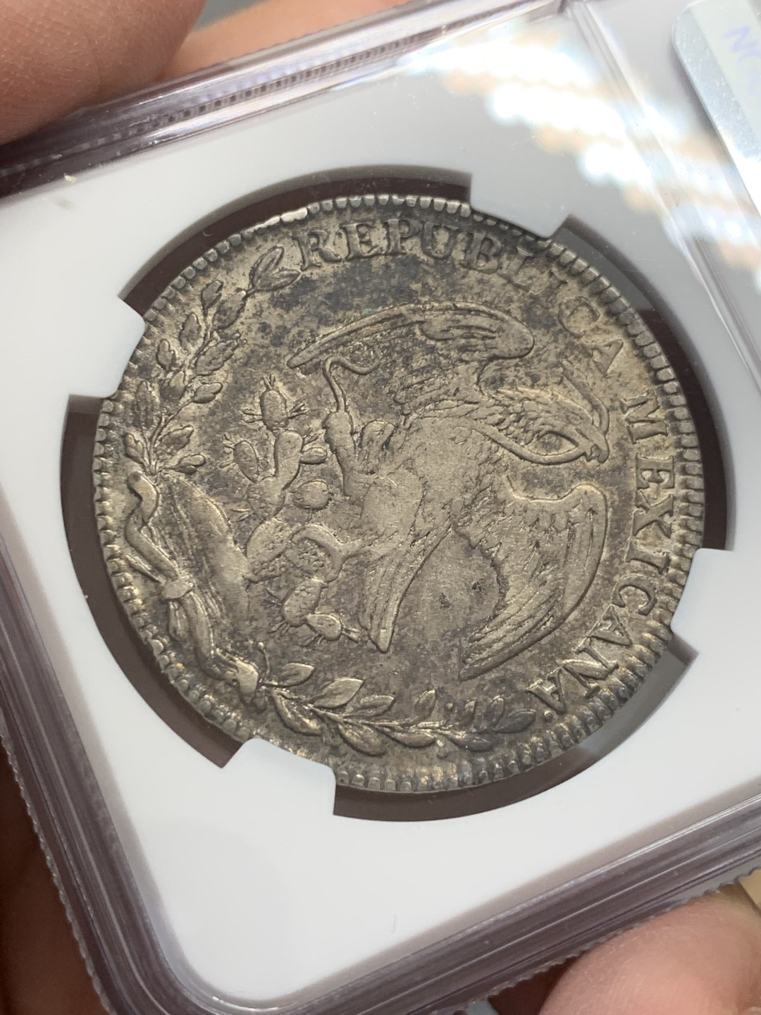 《竞宝斋》第131场-周日，周一连拍 (全场包邮) NGC-XF45墨西哥1842年8里亚尔鹰洋 少见早期鹰洋原味好品 银币