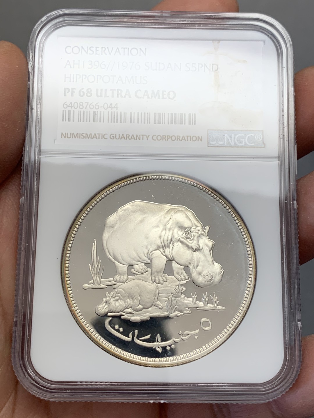 《竞宝斋》第131场-周日，周一连拍 (全场包邮) NGC-PF68 苏丹1976年 保护自然系列河马母子 5镑 精制大银币 少见品种