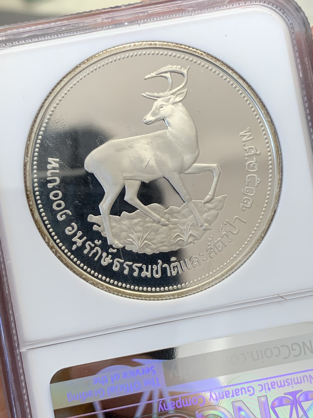 《竞宝斋》第131场-周日，周一连拍 (全场包邮) NGC-PF68 泰国1974年 坡鹿 100泰铢 精制大银币 少见品种