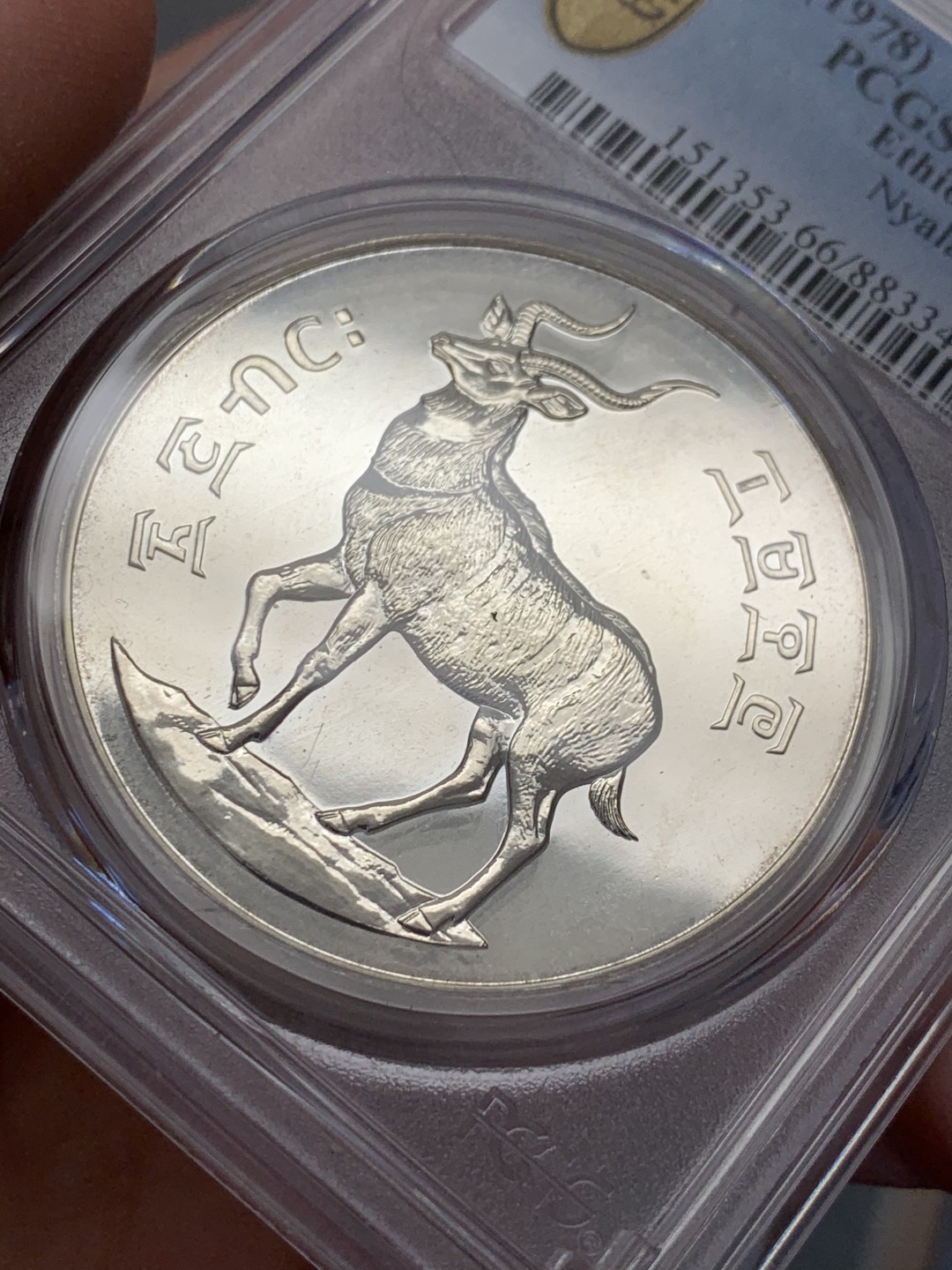 《竞宝斋》第131场-周日，周一连拍 (全场包邮) PCGS MS66 埃塞俄比亚1978年25比尔普制大银币，925银，重量31.65g，发行量仅4002枚