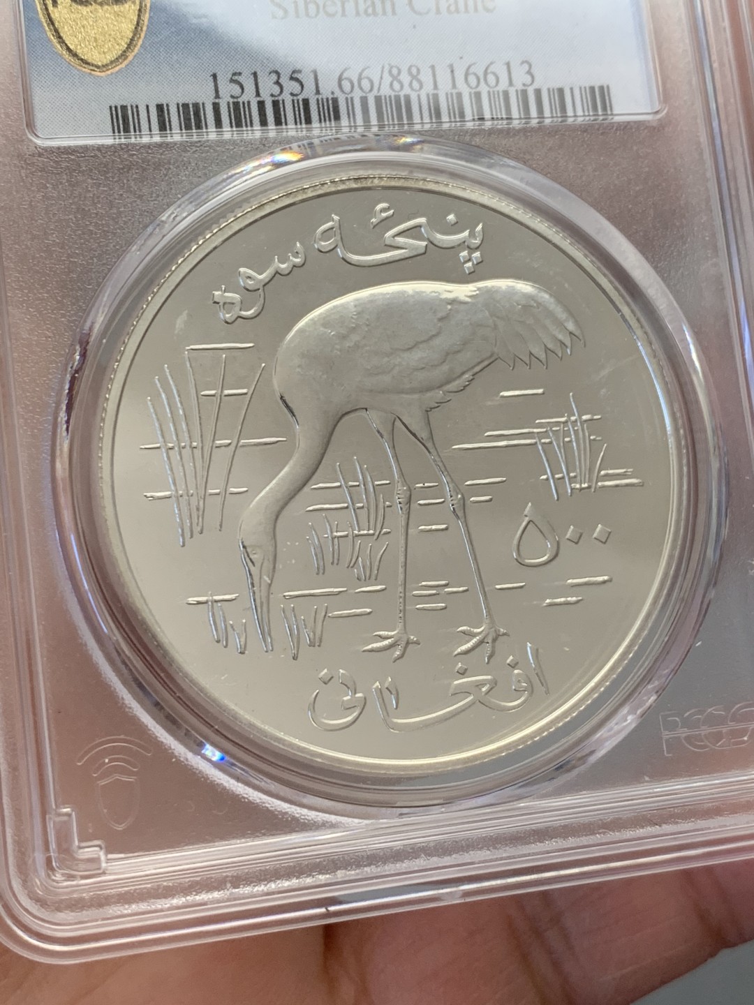 《竞宝斋》第131场-周日，周一连拍 (全场包邮) PCGS MS66 阿富汗1978年珍稀动物西伯利亚鹤纪念500阿富汗尼普制大银币，925银，直径42mm，重量35.3g，发行量仅4374枚