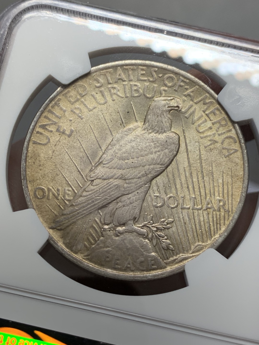 《竞宝斋》第131场-周日，周一连拍 (全场包邮) NGC-MS63 美国1922年 和平鸽一元 原光淡彩很舒服