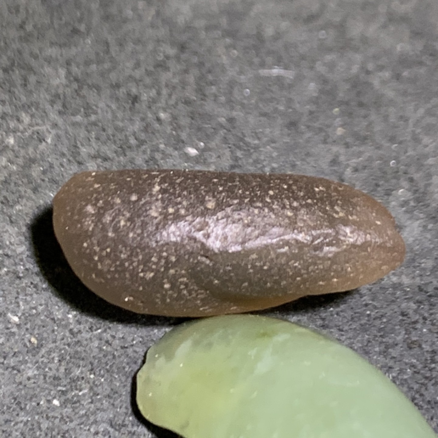放福利！精美天然戈壁糖心玛瑙原石一颗，