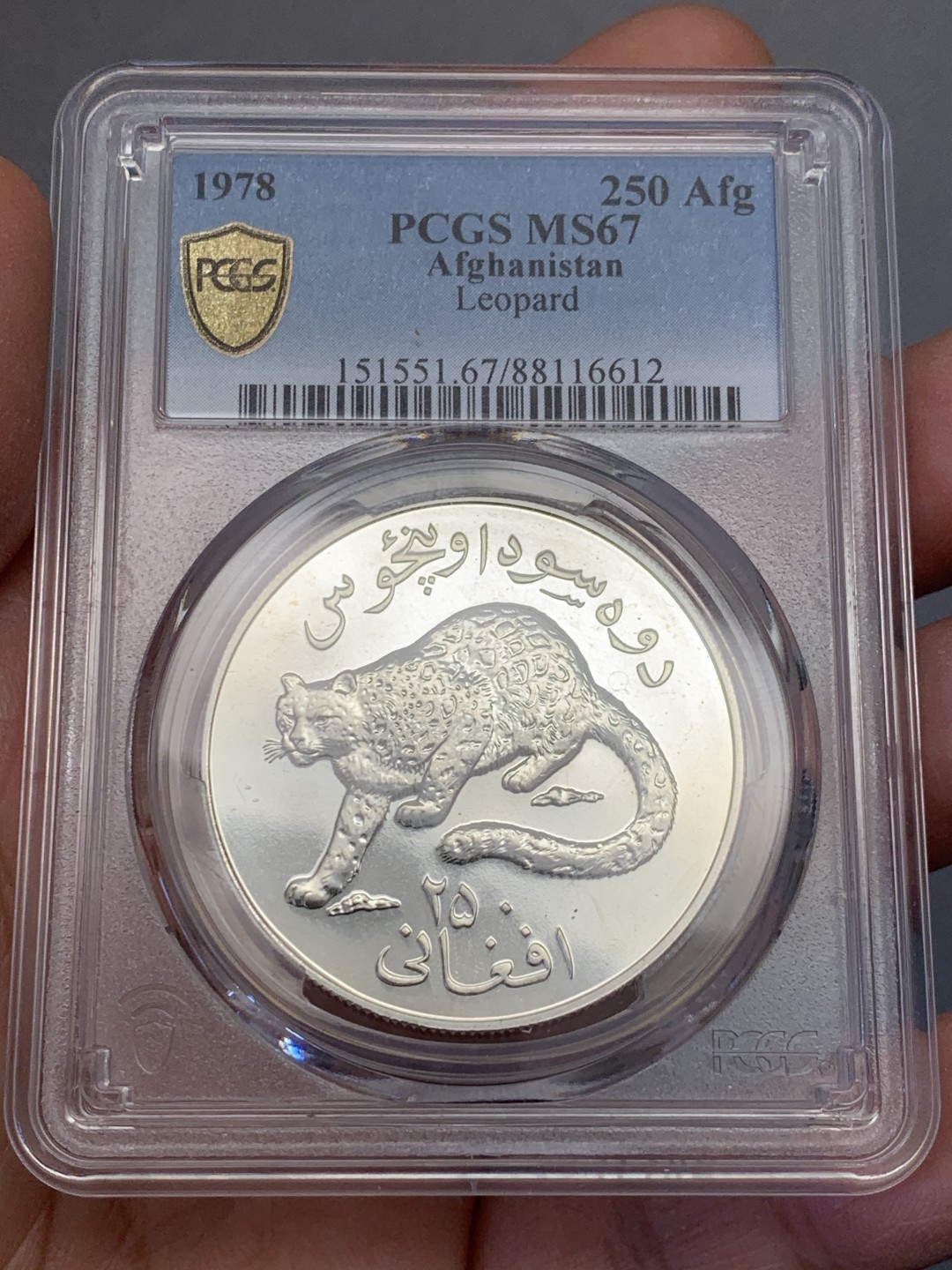 《竞宝斋》第131场-周日，周一连拍 (全场包邮) PCGS MS67 阿富汗1978年珍稀动物雪豹纪念250阿富汗尼普制大银币，925银，直径38.5mm，重量28.57g，发行量仅4370枚，比精制的发行量还少