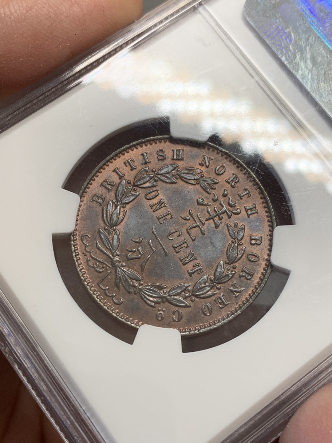 《竞宝斋》第131场-周日，周一连拍 (全场包邮) NGC-MS64RB 北婆罗洲 1891-H 洋元一分 严重低评 66底板 底光柔和平滑温润 令人爱不释手