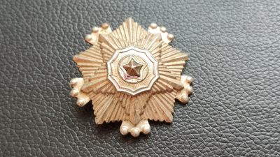 每日随心十拍007 <祼币场> 朝鲜荣誉勋章一枚