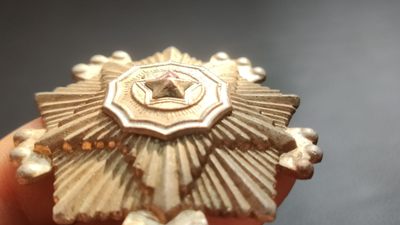 每日随心十拍007 <祼币场> 朝鲜荣誉勋章一枚