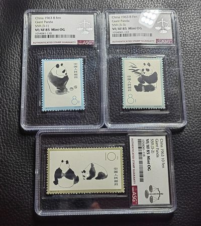 洪涛臻品批发群  精选邮票限时拍卖第一百六十七期 - 特59熊猫★新全★ ASG 85分OG  高配版85分 老纪特人气经典套票★白胶润泽★状态一流，新票全品货非常少，白胶少之又少，能评级的资源十分有限，随着ASG评级的深入，熊猫将是最早评级资源枯竭的品种之一，注意提前捡漏上车