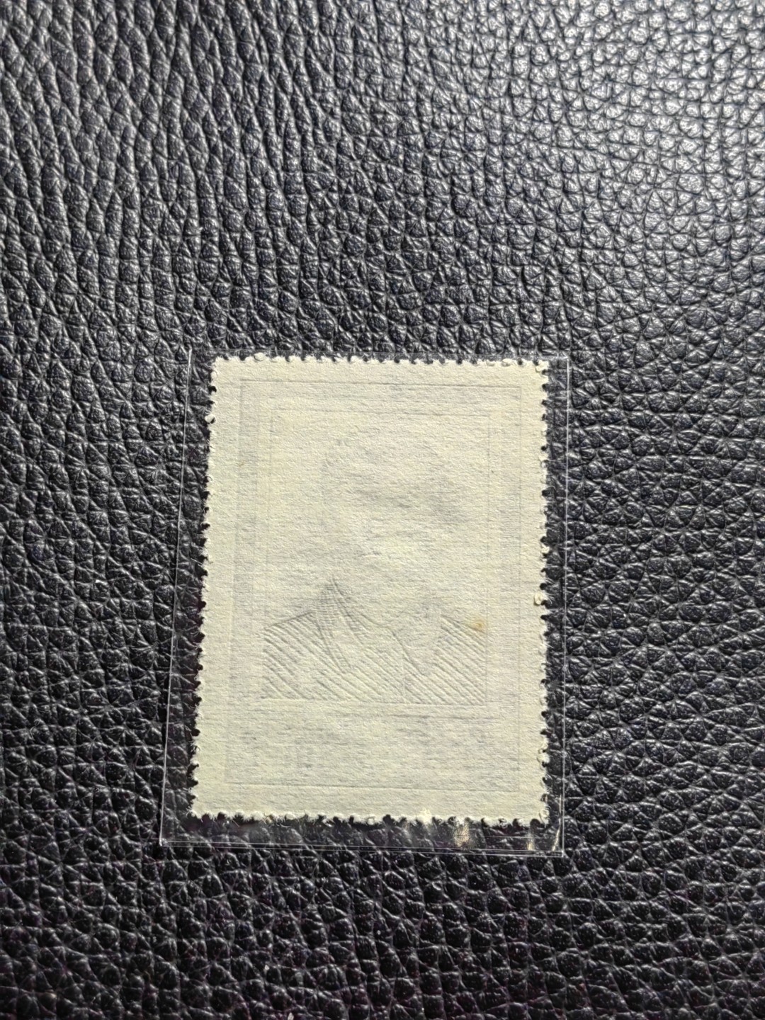 洪涛臻品批发群  精选邮票限时拍卖第一百六十六期 纪27  斯大林3-1 新  版撕票，背面一个黄点。除此之外没有毛病，喜欢不要错过