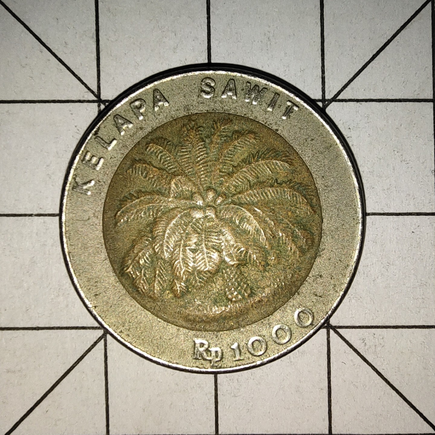 收藏之家世界硬币（捡漏，无押金，无佣金，全场满20包邮，偏远地区除外） 印度尼西亚1000盾1995年