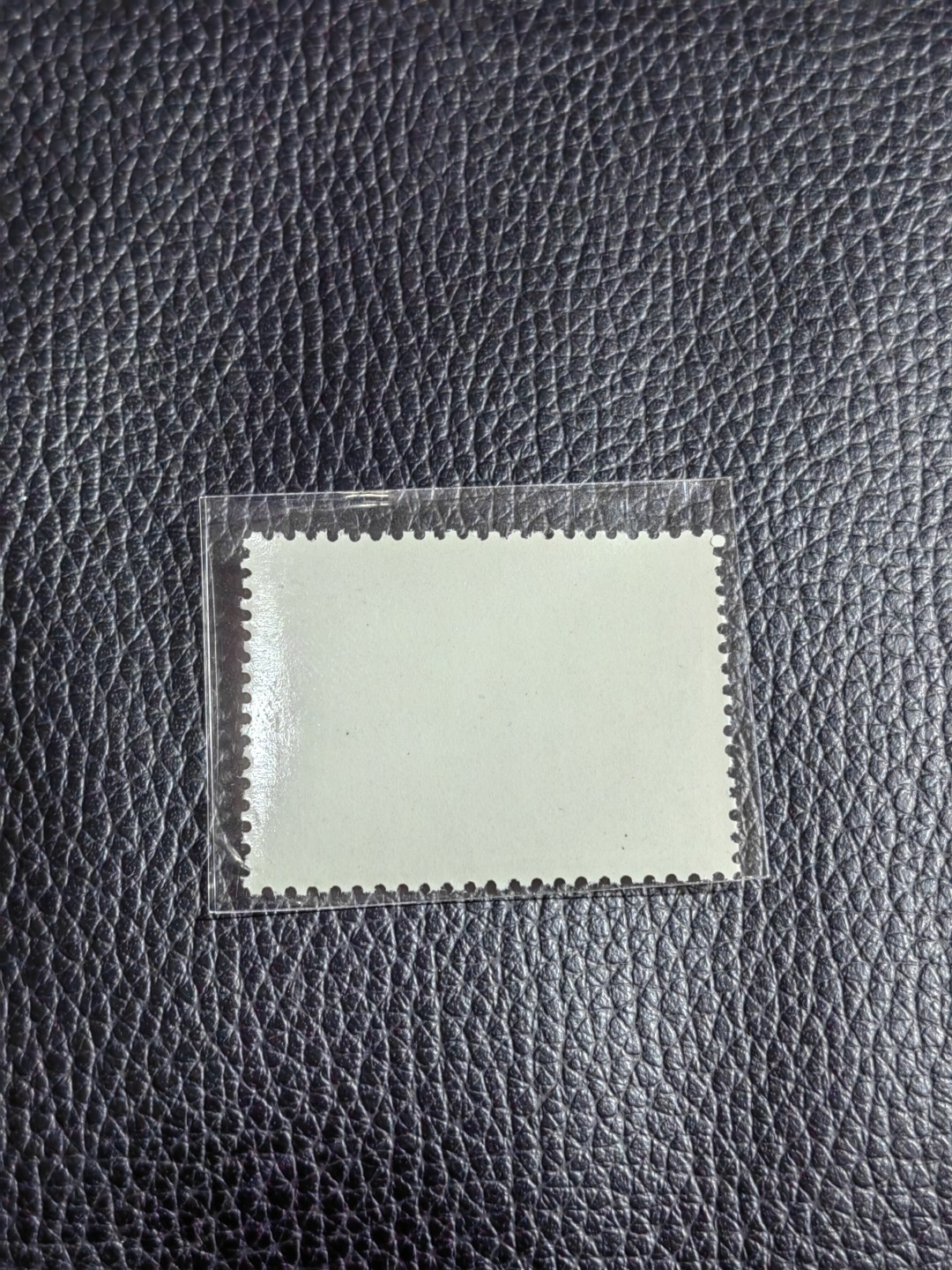 洪涛臻品批发群  精选邮票限时拍卖第一百八十一期 热门品种，特73井冈山  盖销  8-4 一枚，经典热门票，版撕全品嘎嘎绝，撕口新，适合收藏，喜欢不要错过，全品可评级