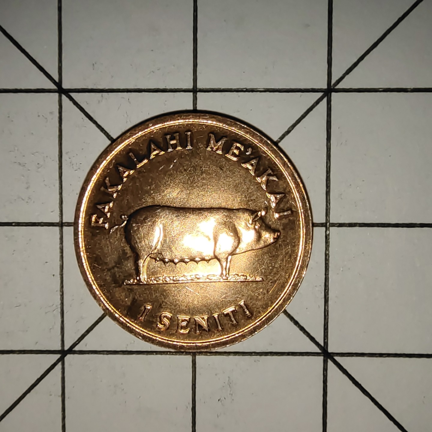 收藏之家世界硬币新年新场（捡漏，无押金，无佣金，全场满20包邮，偏远地区除外） 汤加1分1979年