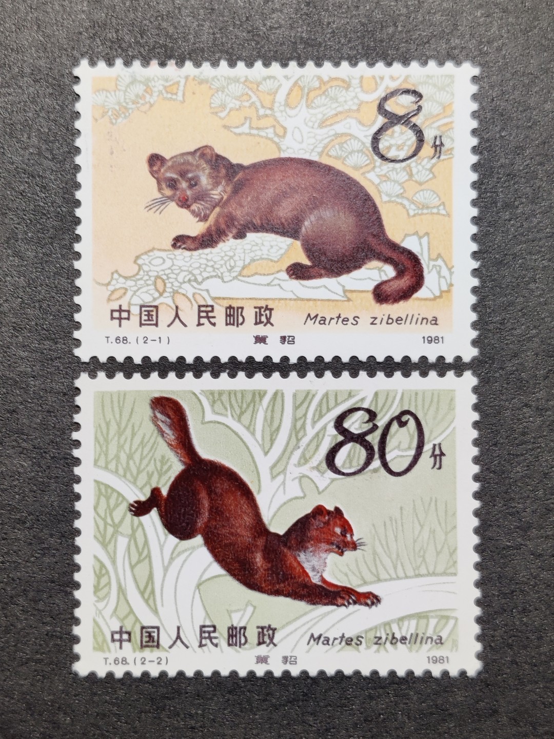 洪涛臻品批发群  精选邮票限时拍卖第一百八十四期 T68紫貂 新全套 原胶面艳背白票生挺 全品！ 【2月9日邮商收购价30元】