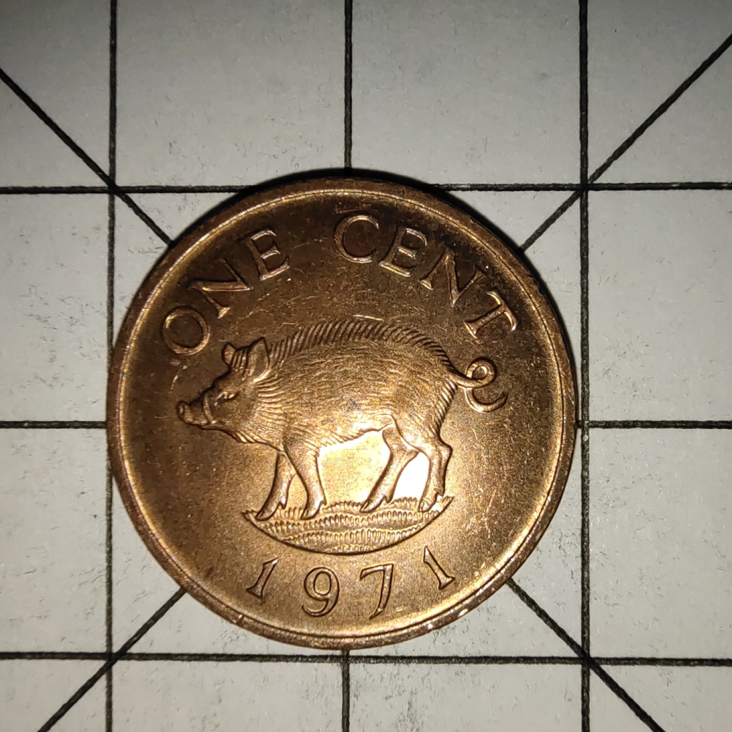 收藏之家世界硬币新年新场（捡漏，无押金，无佣金，全场满20包邮，偏远地区除外） 百慕大1分1971年