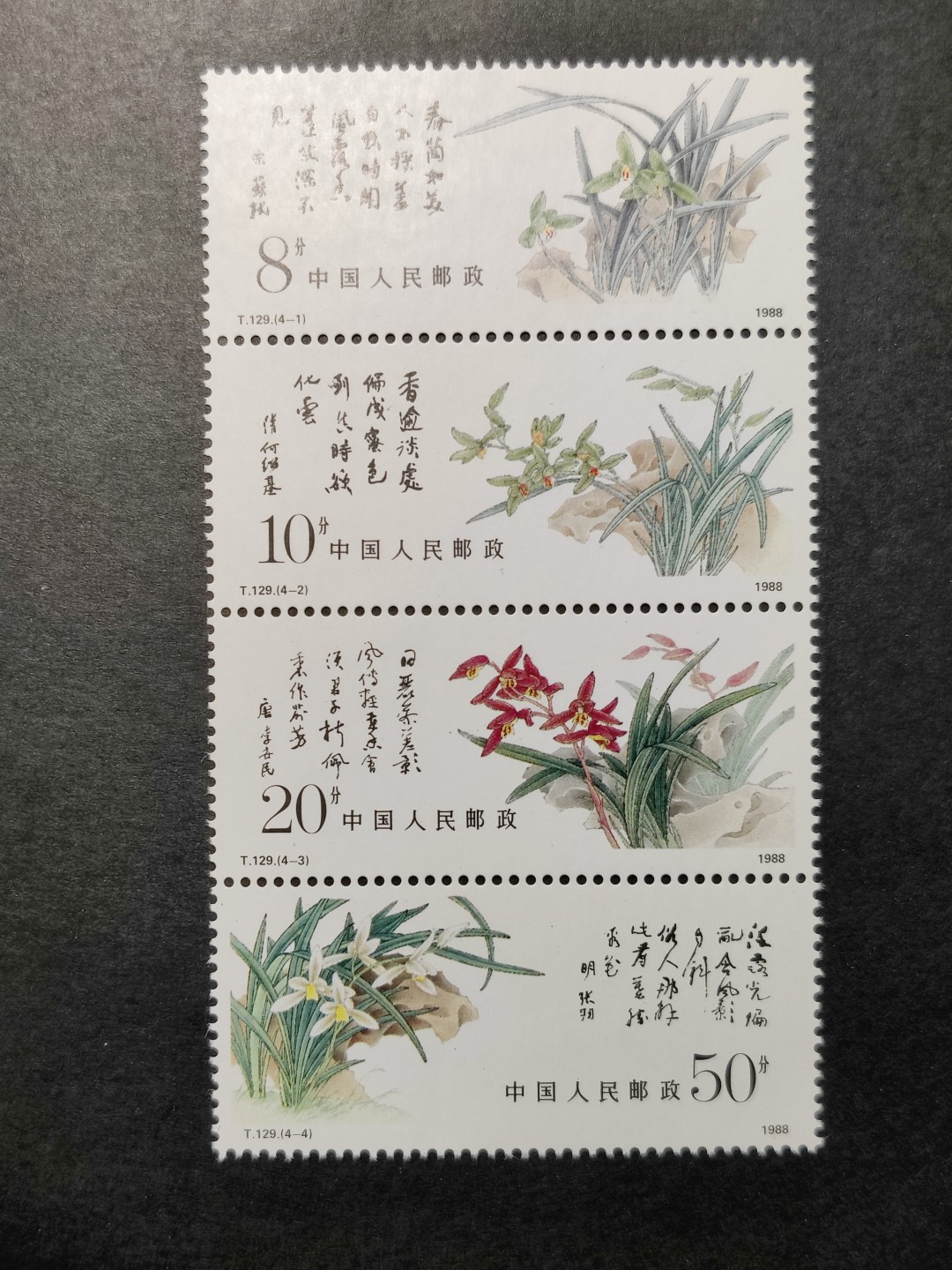 洪涛臻品批发群  精选邮票限时拍卖第一百六十三期 T129兰花 新全套 以前初中英语课本中介绍的中国邮票 原胶润亮！联票间齿孔无折！ 完美过灯！OG全品！