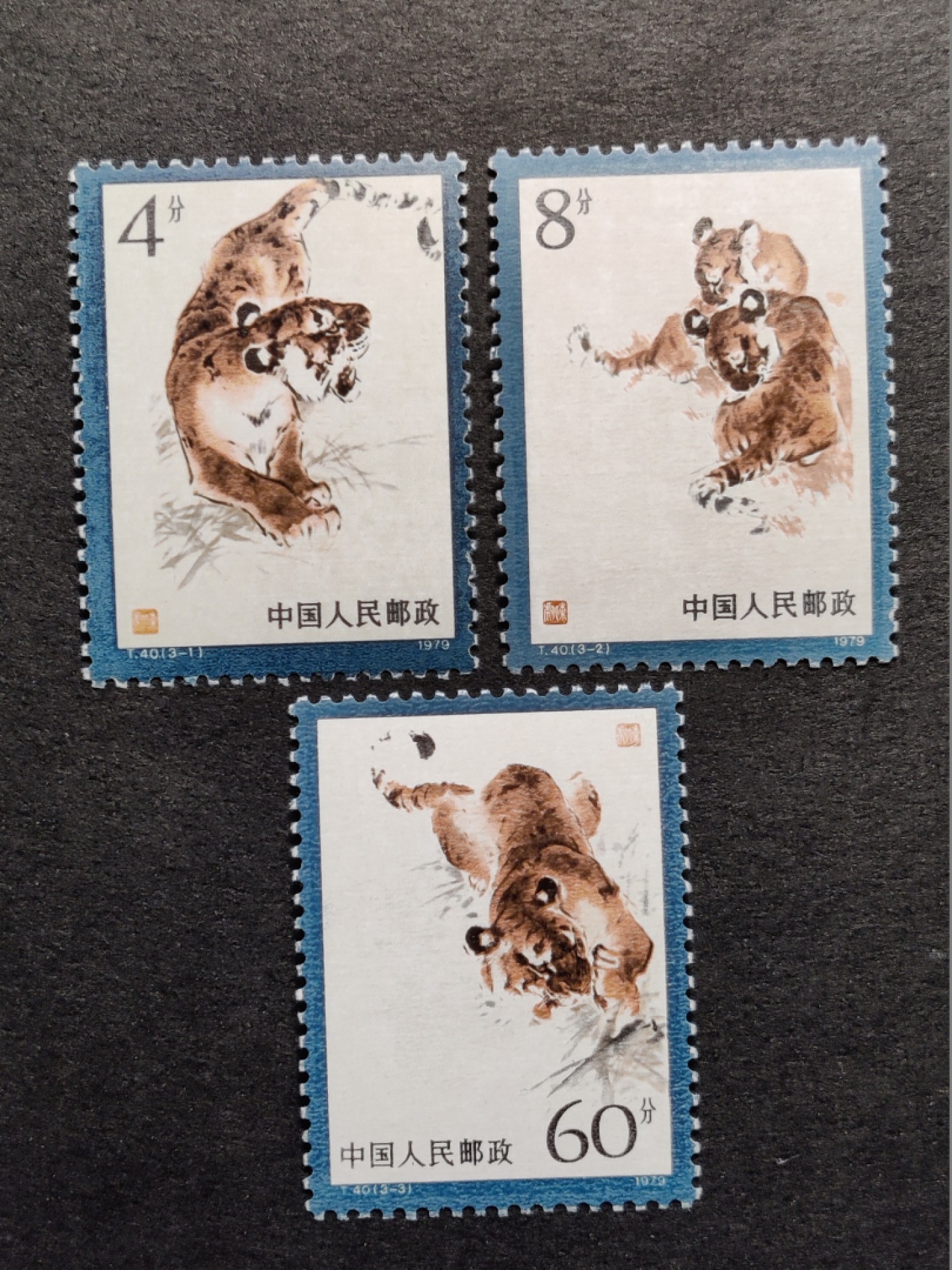 洪涛臻品批发群  精选邮票限时拍卖第一百七十九期 T40东北虎 3全新 面艳票挺 原胶润白 全品！