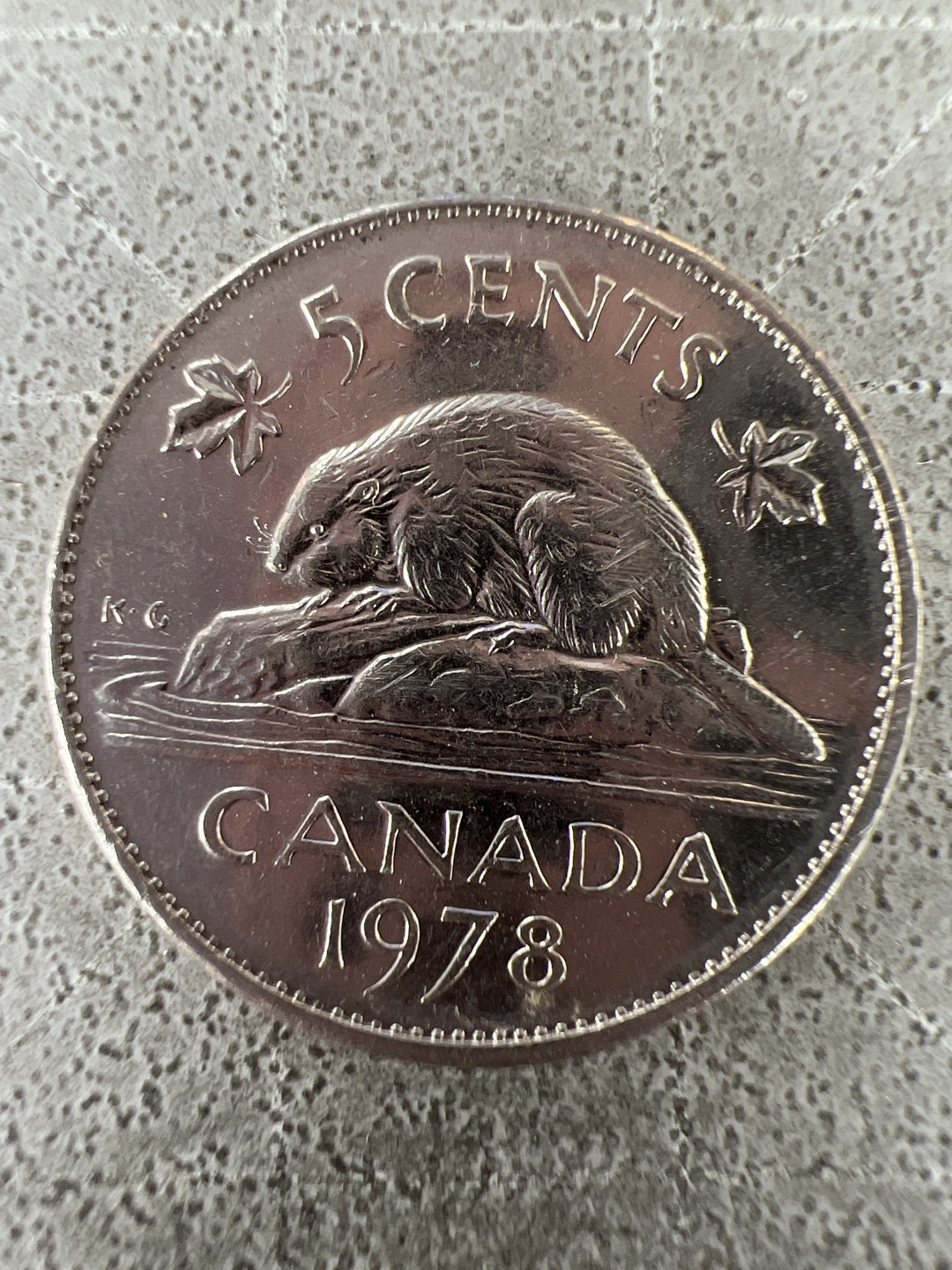 泡泡堂第312期  世界硬币 （无押金，捡漏，全场20包邮，偏远地区除外，接收代拍业务） 加拿大五分