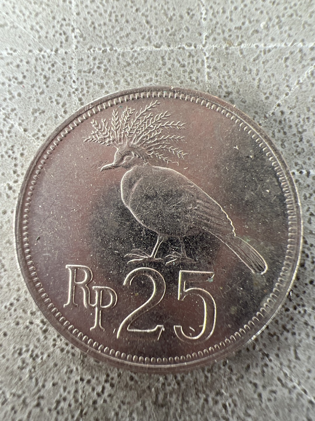 泡泡堂第212期  世界硬币邮票（无押金，无佣金，捡漏，全场20包邮，偏远地区除外） 印度尼西亚知更鸟25分