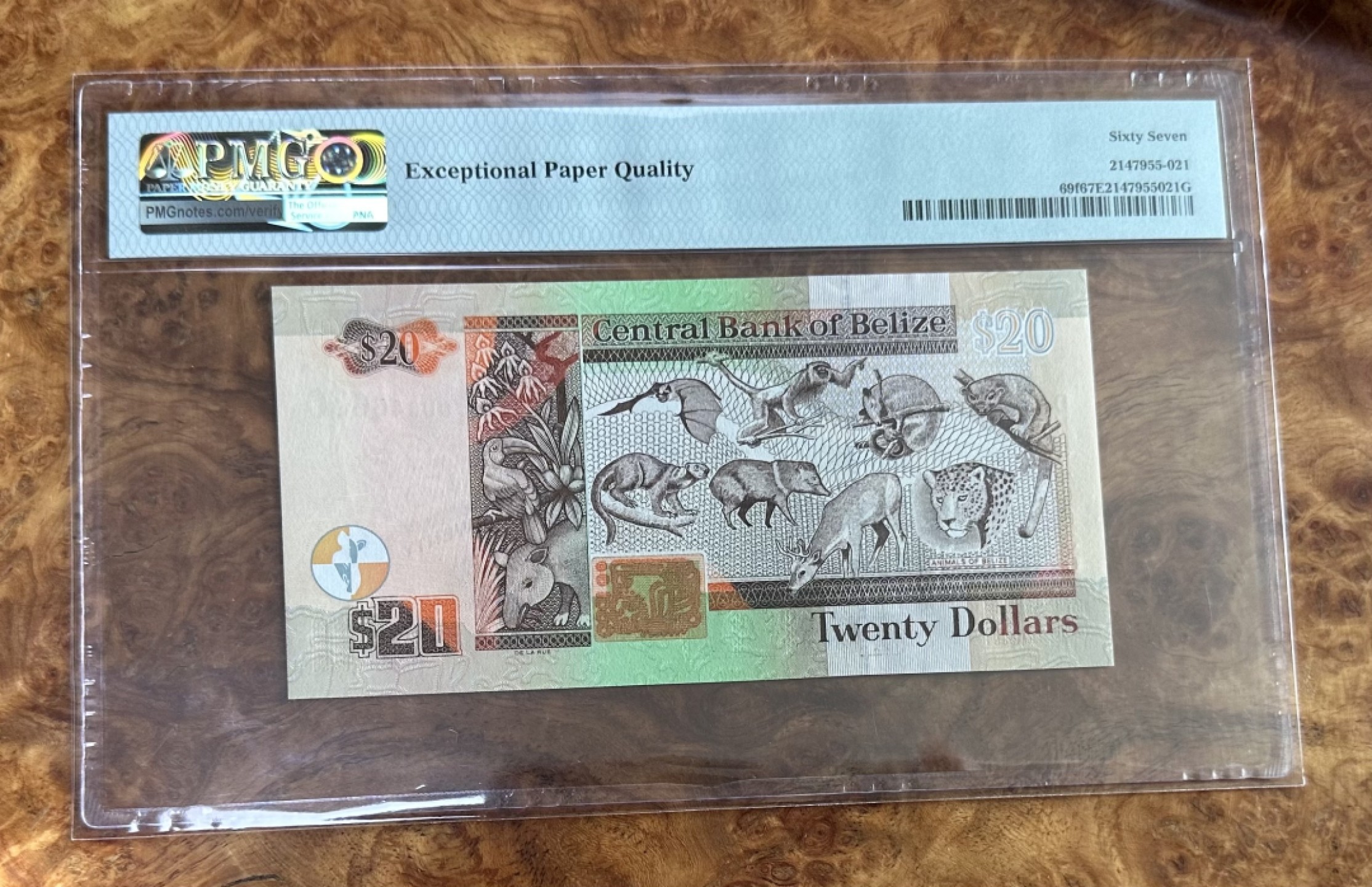 Chase Auction 第16期 - - 外钞、民国钞和一版人民币混合场！ 2017年伯利兹20镑，PMG67分！
