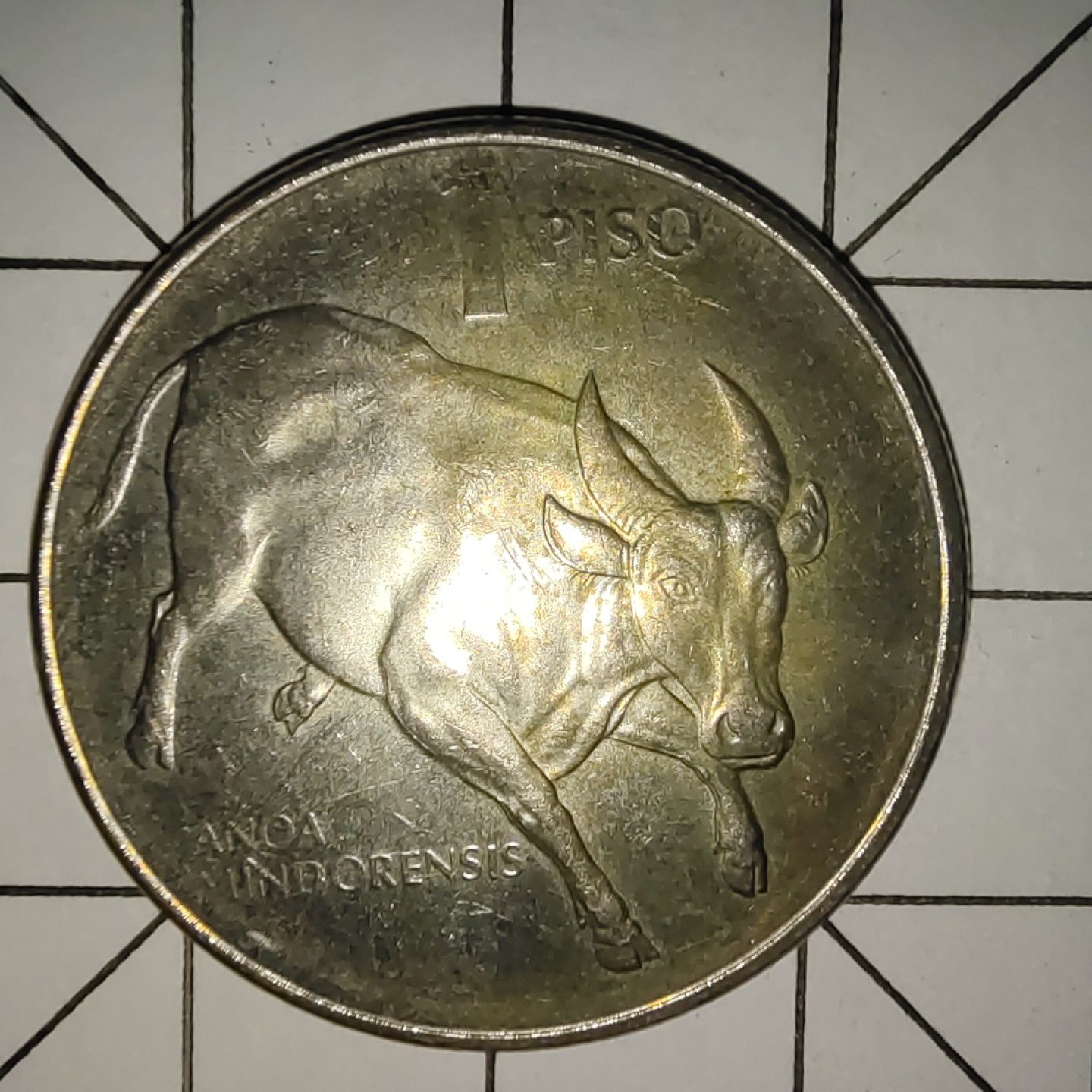 收藏之家世界硬币新年场(捡漏，无押金，无佣金，全场满20包邮，偏远地区除外) 菲律宾1比索1985年