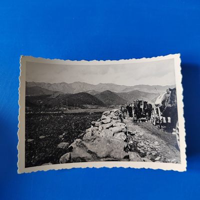 王之爱好～外国纸币 - 1939-1945年，德国老照片