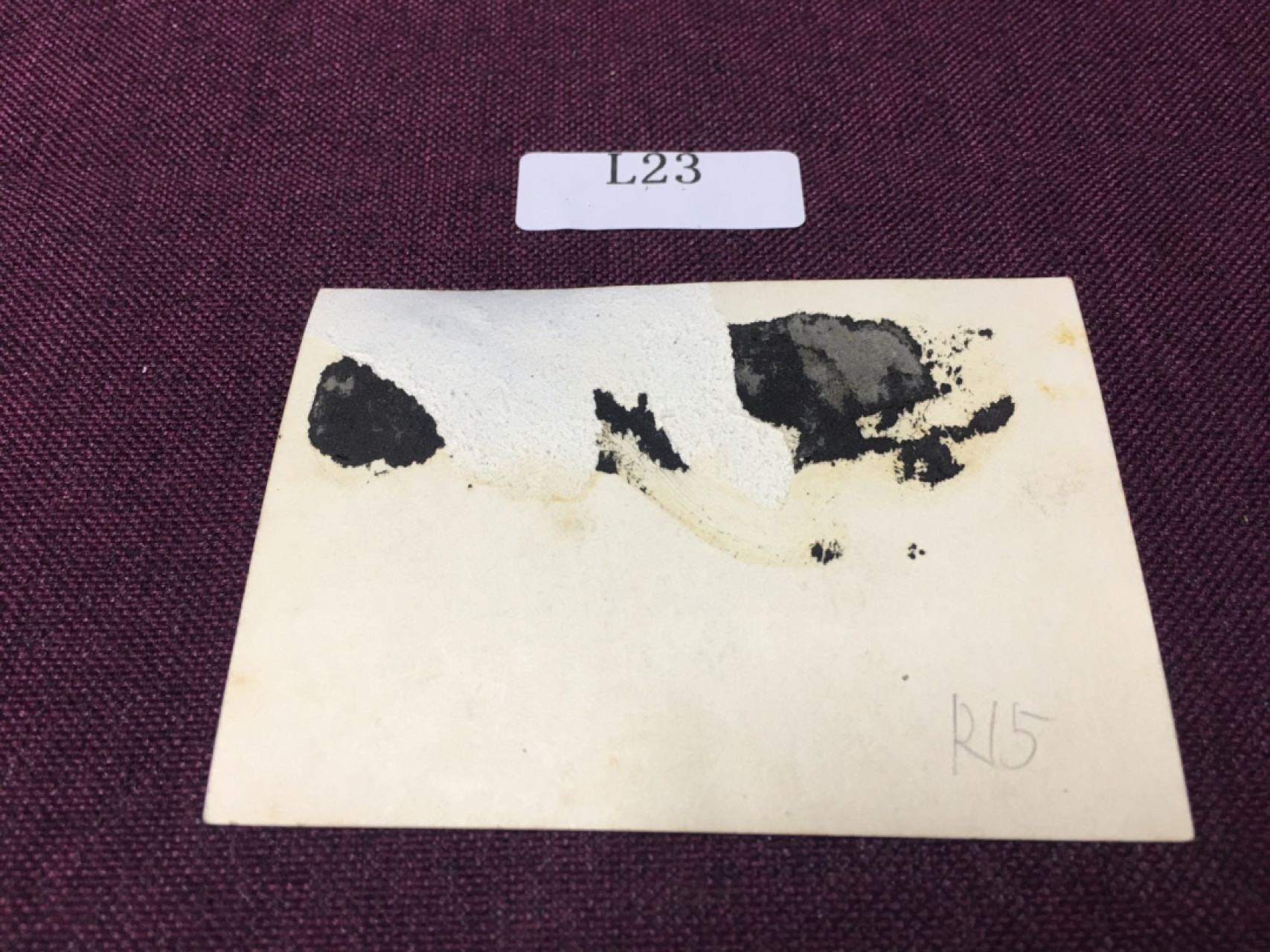 日本老照片L23 日本老照片R15