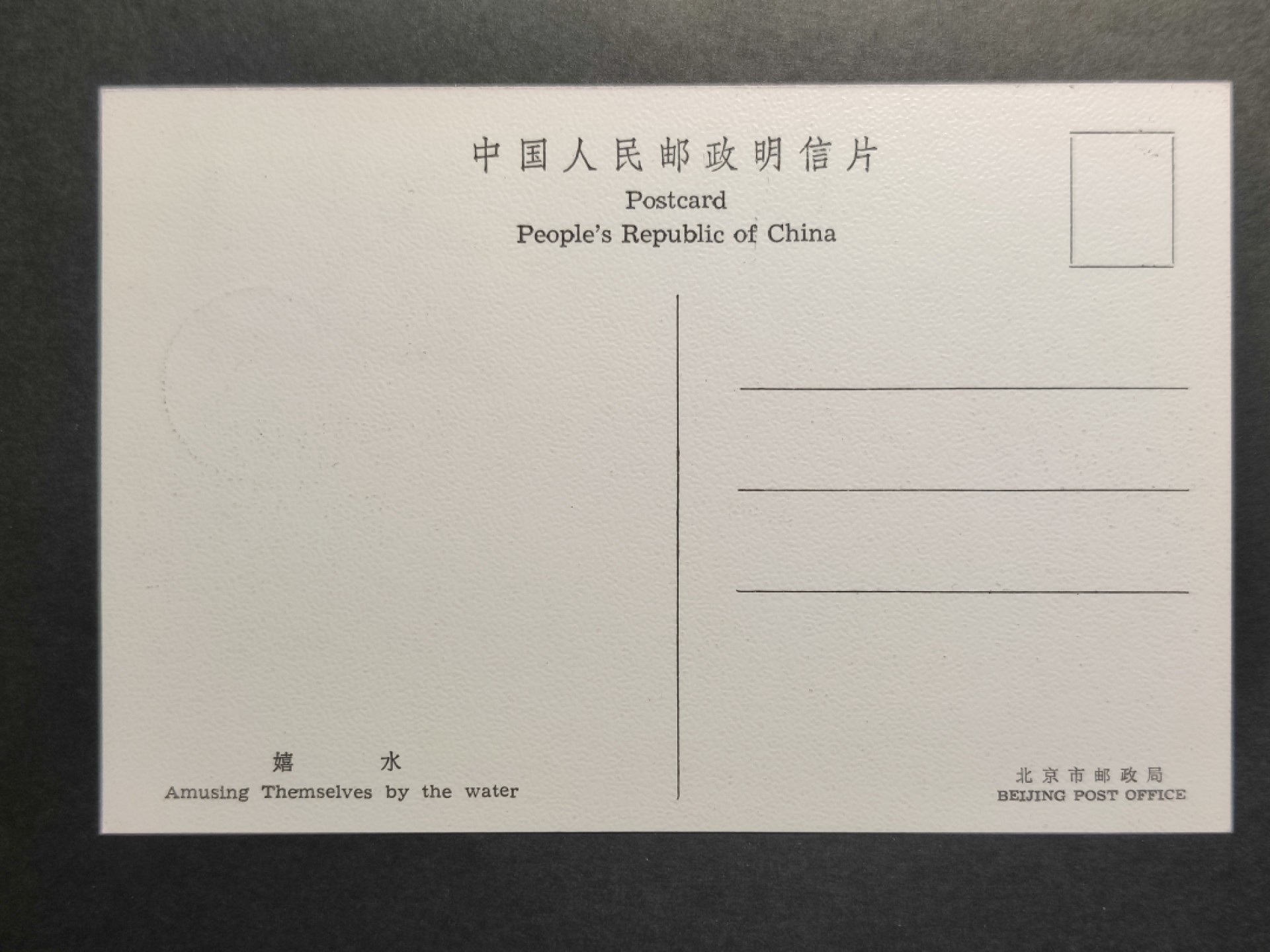 洪涛臻品批发群  精选邮票限时拍卖第一百九十一期 T83 天鹅 全套4枚极限明信片