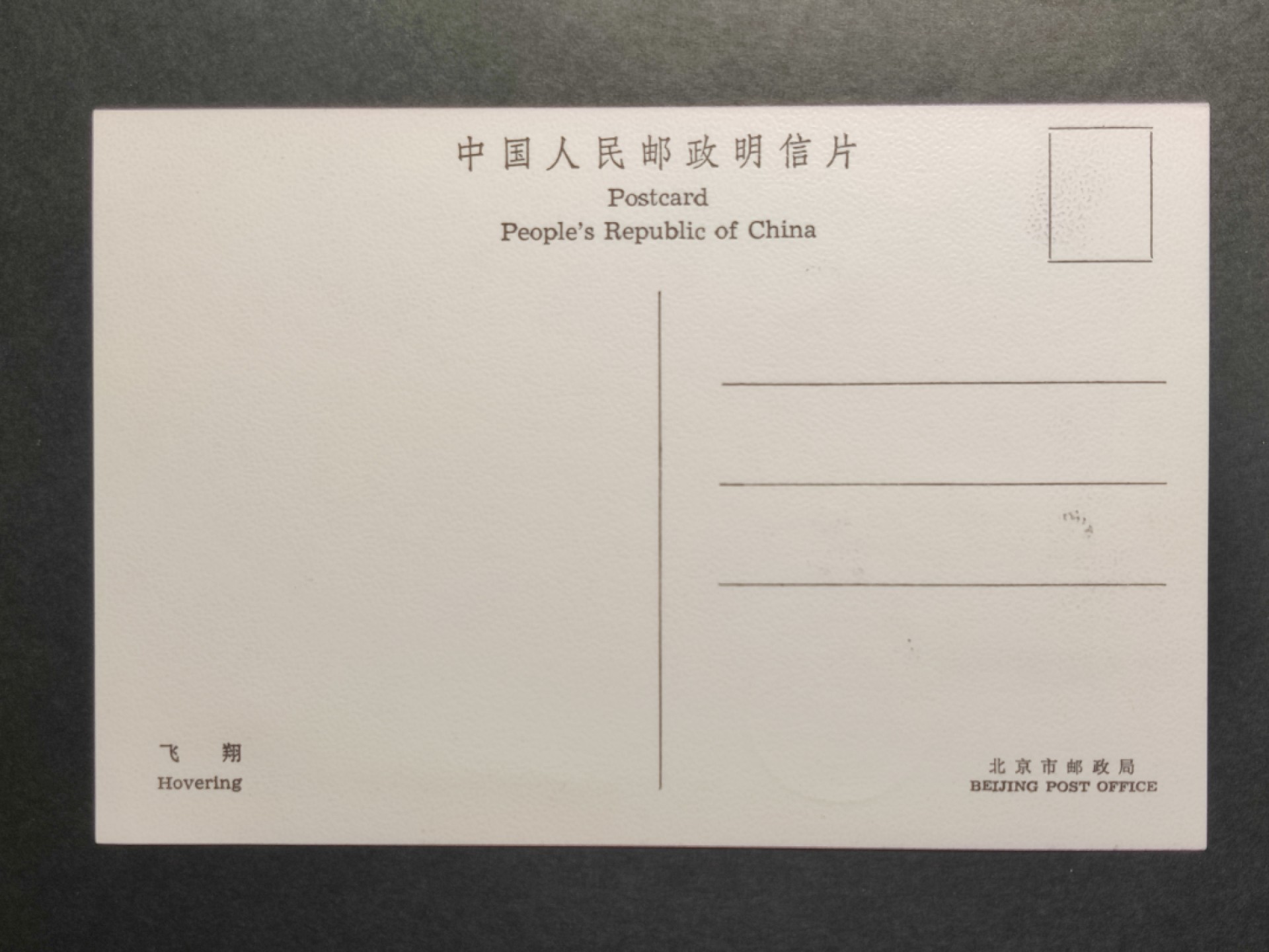 洪涛臻品批发群  精选邮票限时拍卖第一百九十一期 T83 天鹅 全套4枚极限明信片