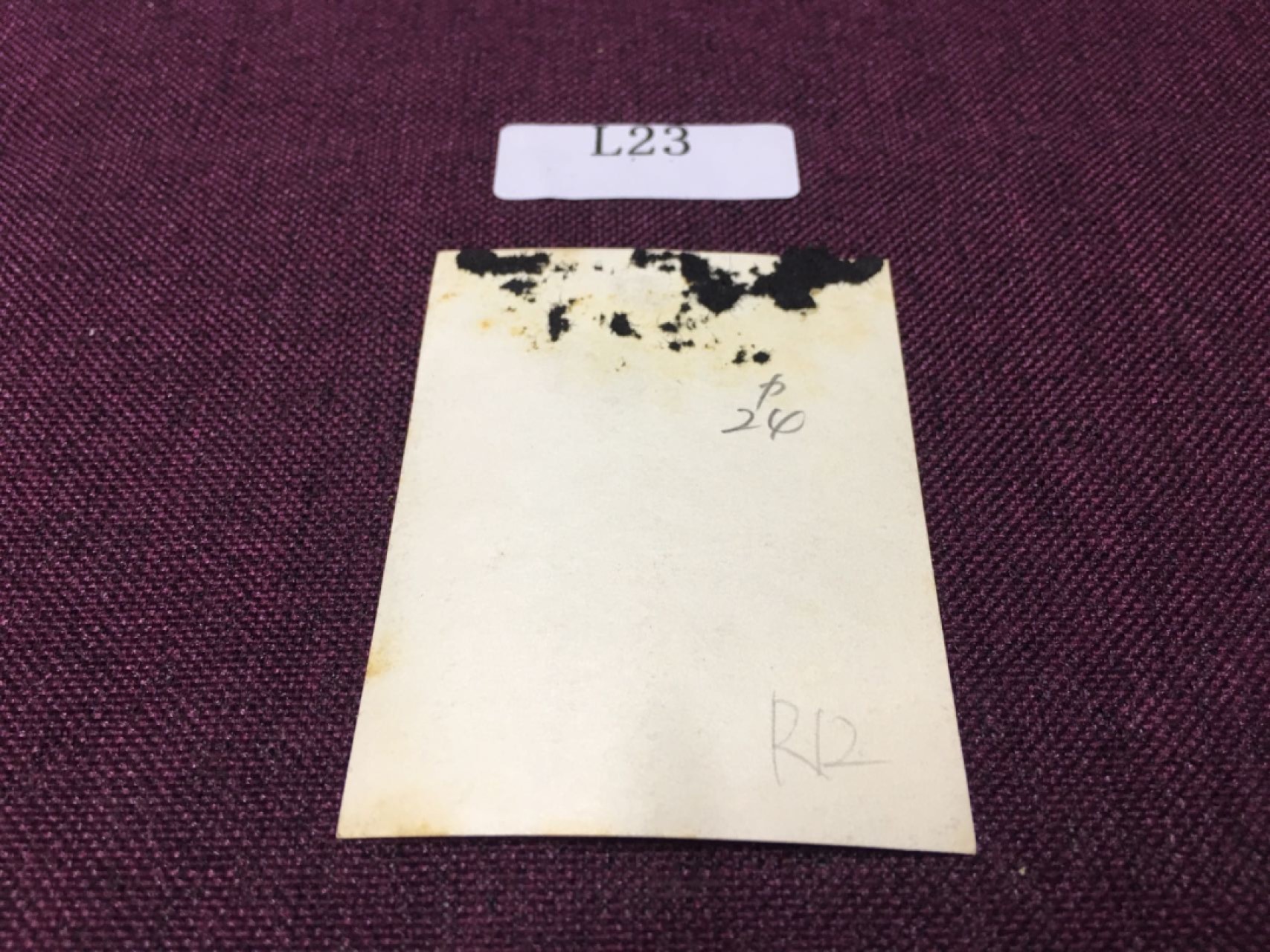 日本老照片L23 日本老照片R12