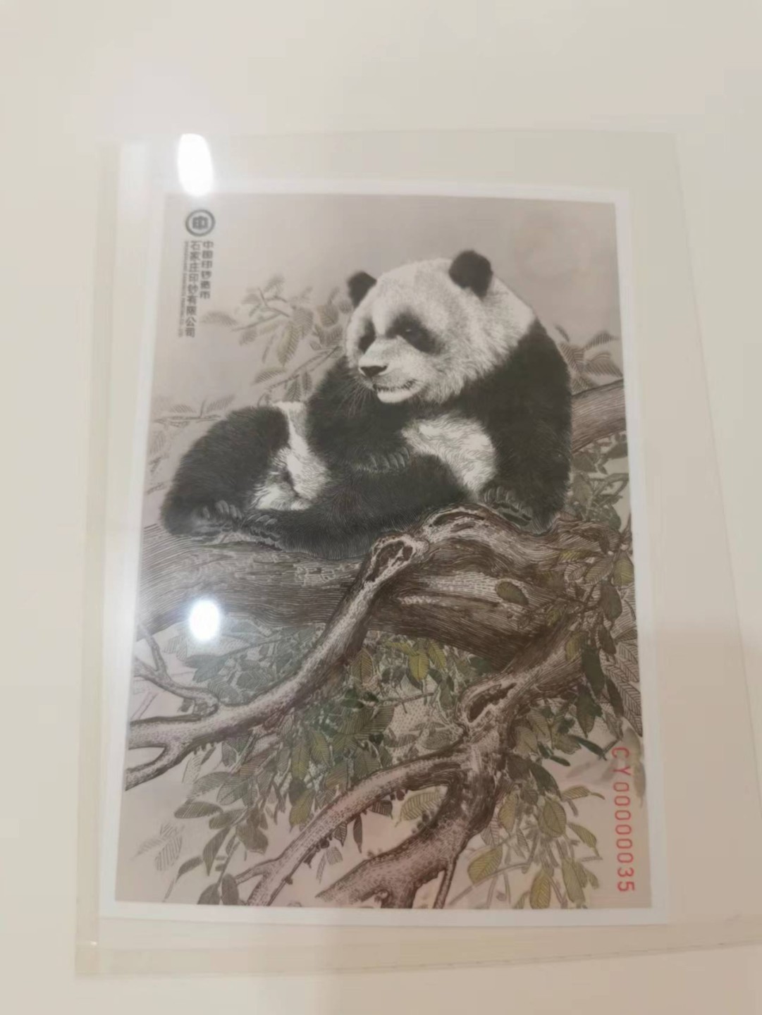 226.【鲸贝乐淘★两拍包邮】三字经·第“教之道，贵以专”号拍卖 【大熊猫钞艺画册★雕刻版】石家庄印钞公司，整册全新全品UNC，稀有藏品