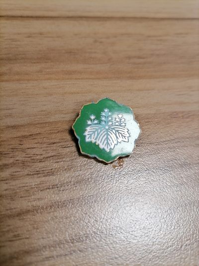 城南花开🌸12场 - 珐琅桐小绿章