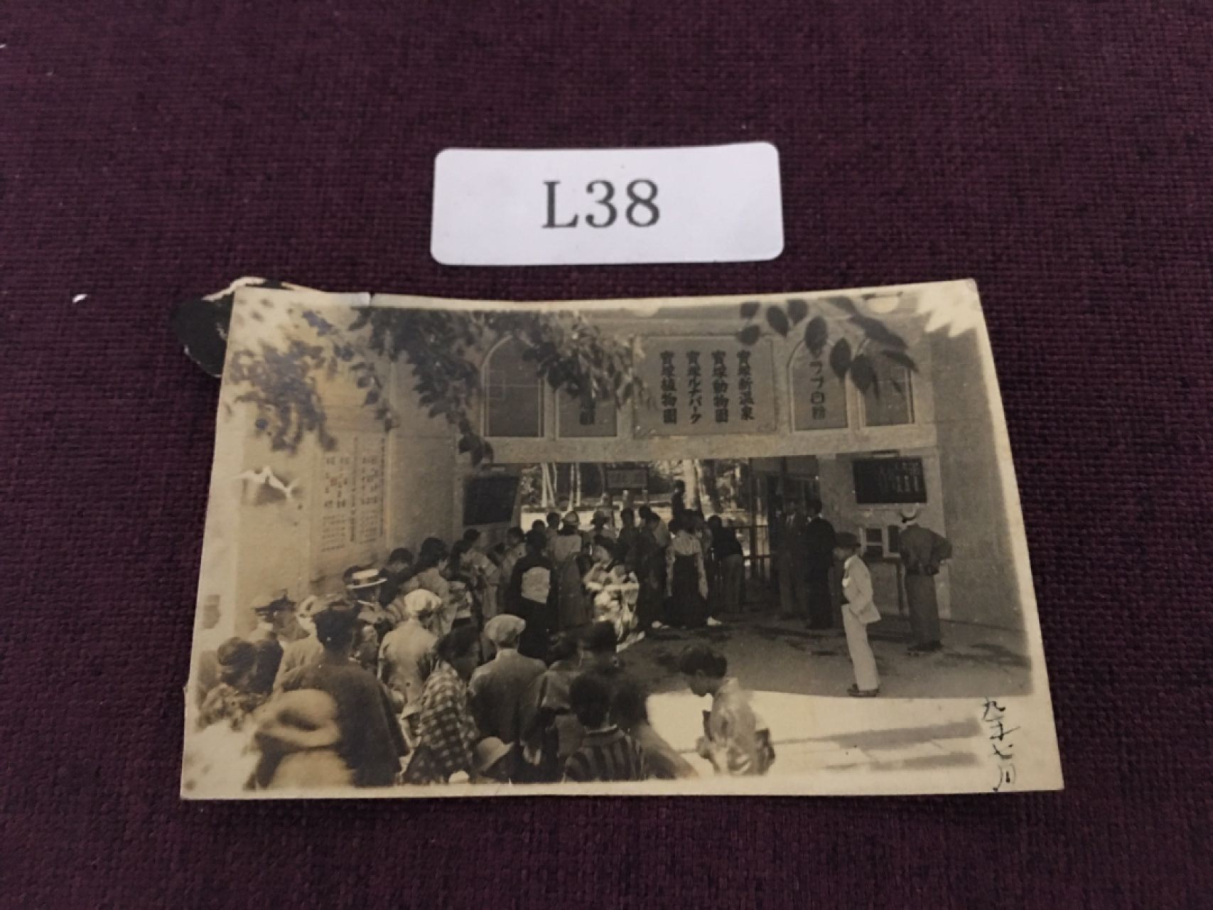 日本老照片L38 日本老照片R31