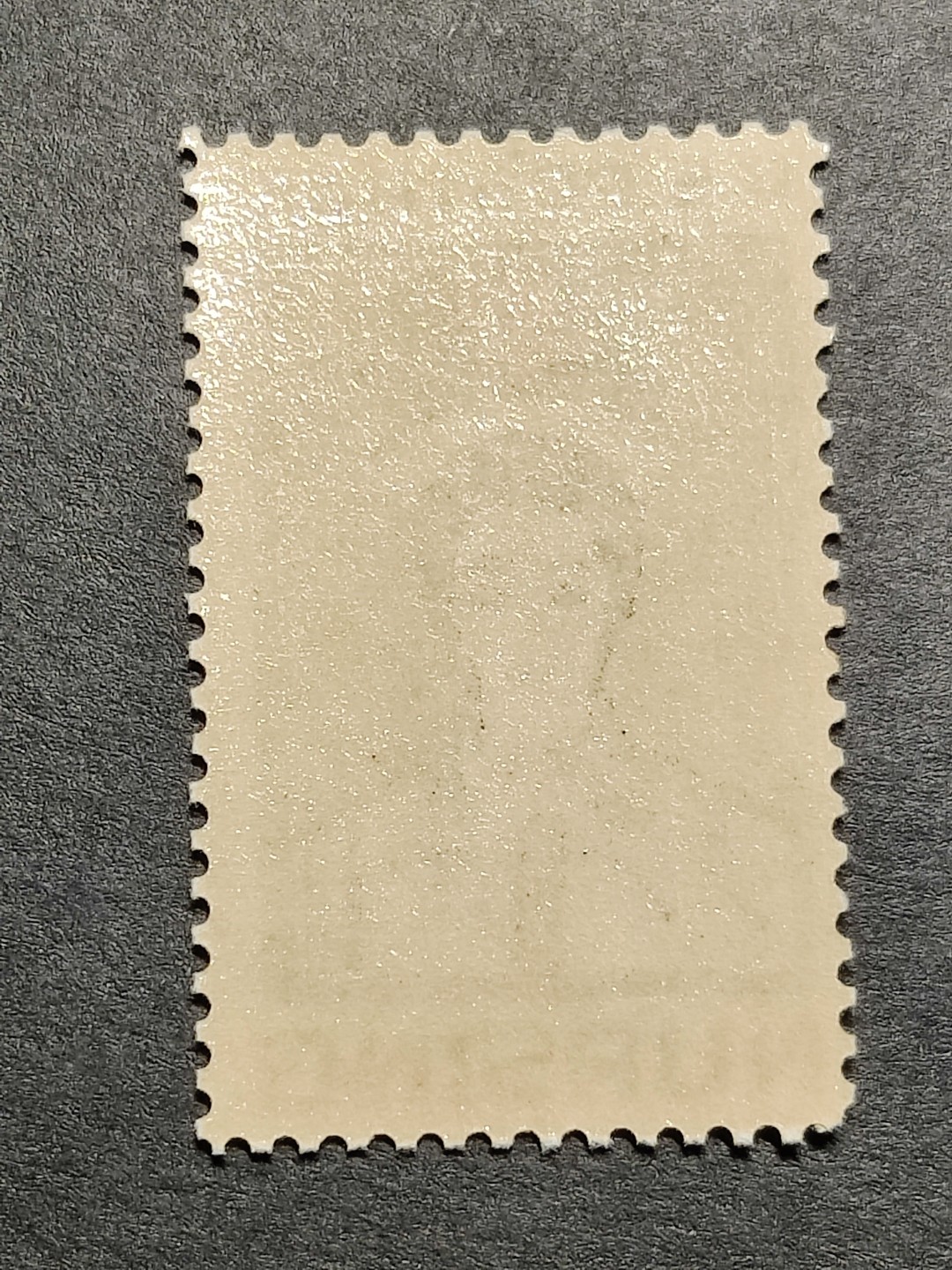 洪涛臻品批发群  精选邮票限时拍卖第一百六十八期 美国1961年 护士1全新. 精美雕刻版,原胶润亮相当漂亮！
