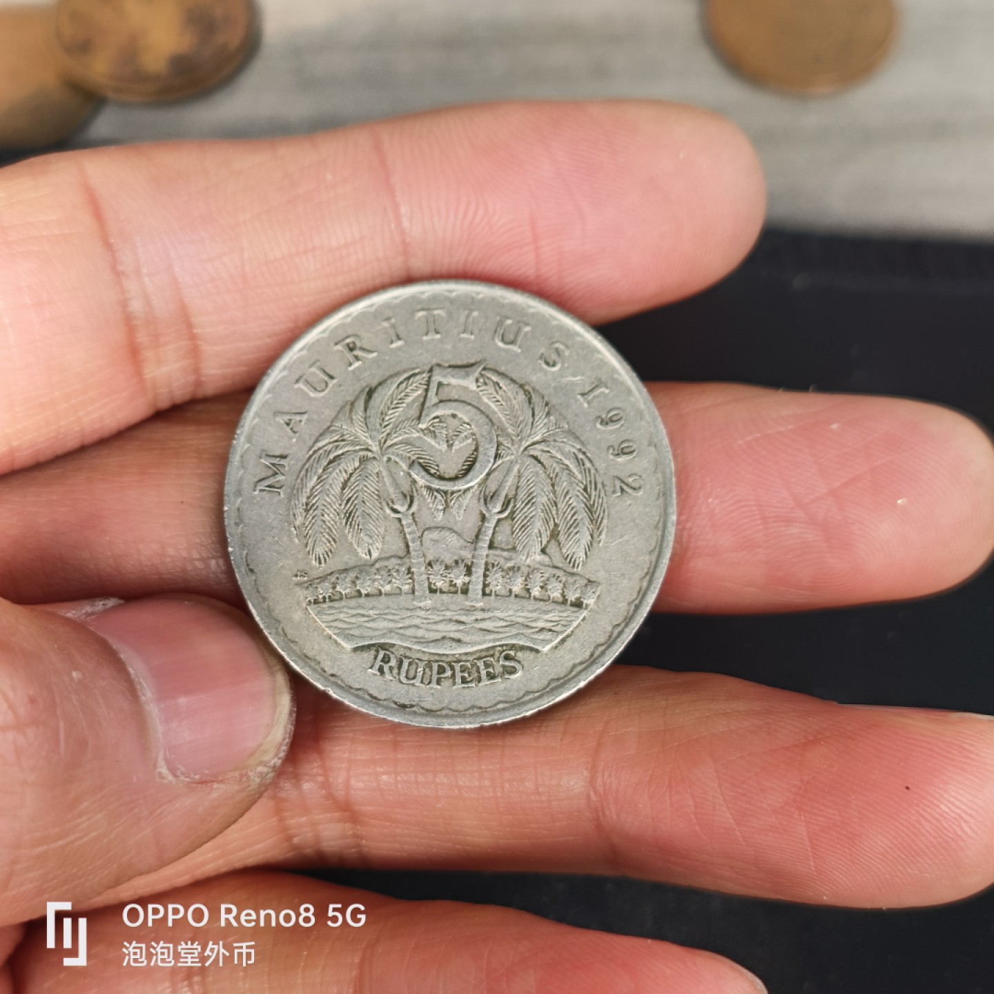 泡泡堂微拍第五十五幕硬币捡漏可累计专场👿👿，零佣金，零押金，累计满二十元包邮，接受代拍业务 毛里求斯五元大币