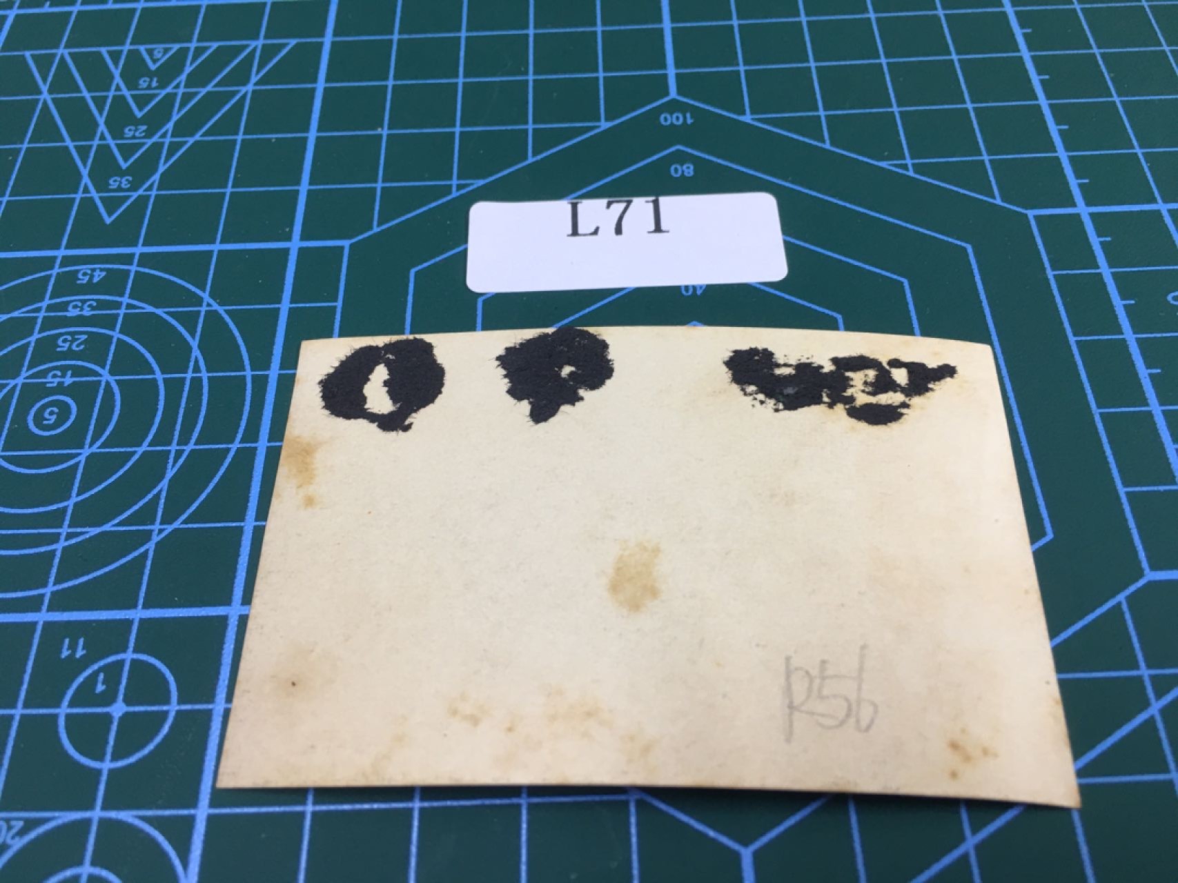 日本老照片L71 日本老照片R56