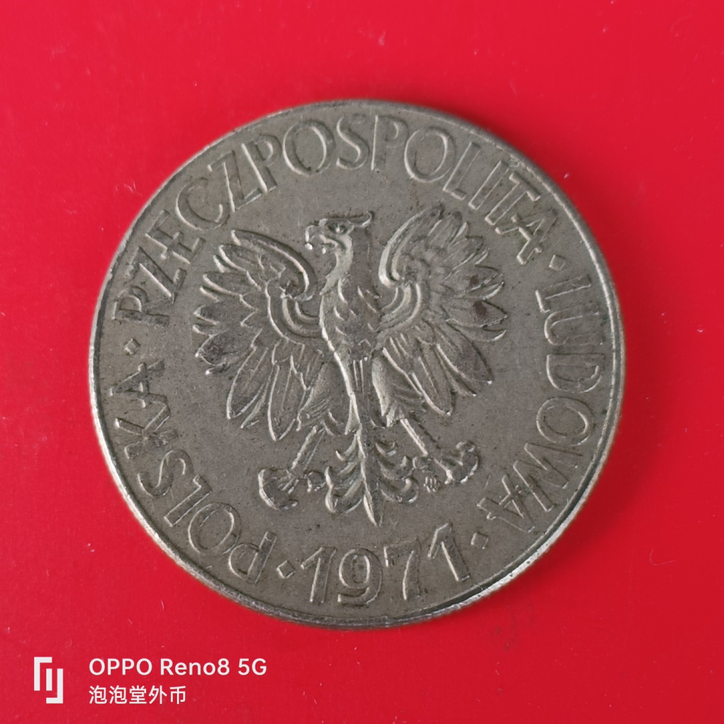 泡泡堂微拍第五十五幕硬币捡漏可累计专场👿👿，零佣金，零押金，累计满二十元包邮，接受代拍业务 波兰z哥白尼