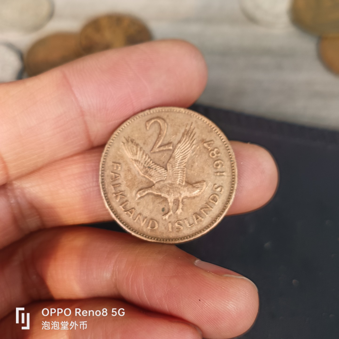 泡泡堂微拍第五十五幕硬币捡漏可累计专场👿👿，零佣金，零押金，累计满二十元包邮，接受代拍业务 福克兰岛老板二便士