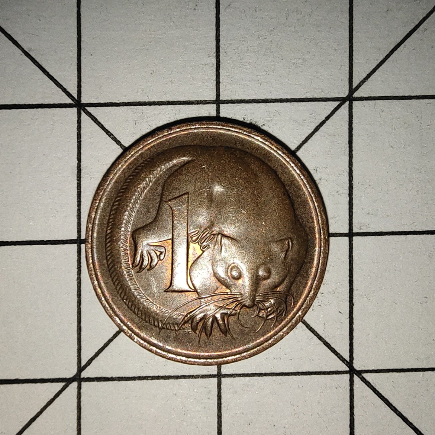 收藏之家世界硬币新年场(捡漏，无押金，无佣金，全场满20包邮，偏远地区除外) 澳大利亚1分1983年