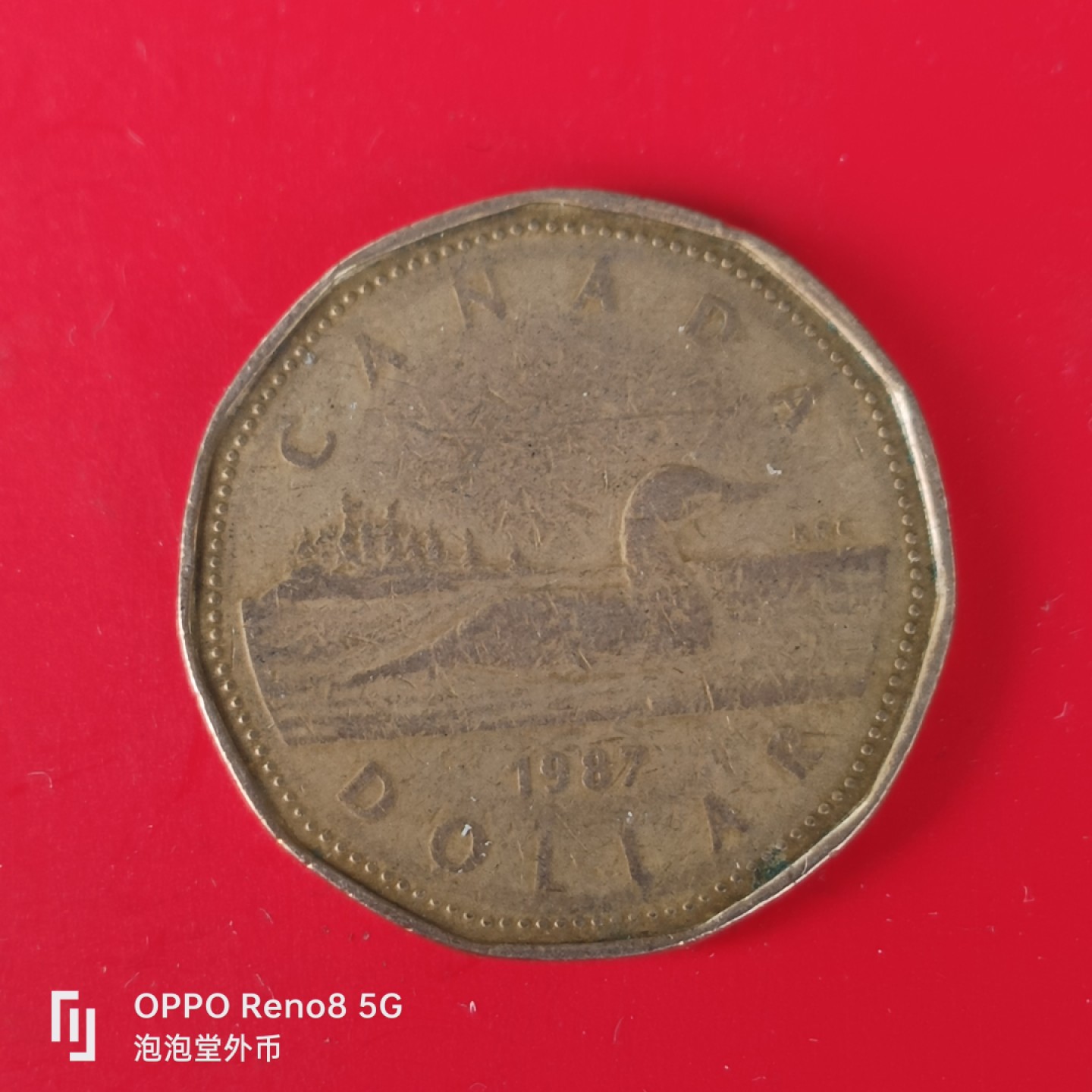 泡泡堂微拍第五十五幕硬币捡漏可累计专场👿👿，零佣金，零押金，累计满二十元包邮，接受代拍业务 加拿大一刀。