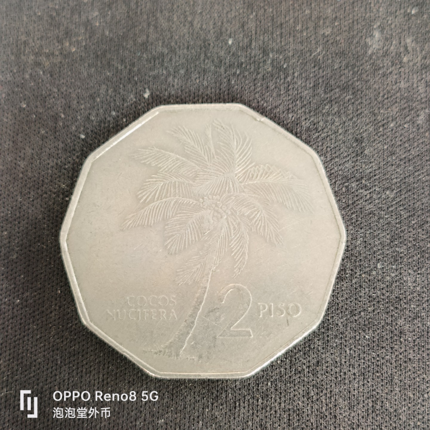 泡泡堂微拍第五十五幕硬币捡漏可累计专场👿👿，零佣金，零押金，累计满二十元包邮，接受代拍业务 菲律宾二皮椰子树大币