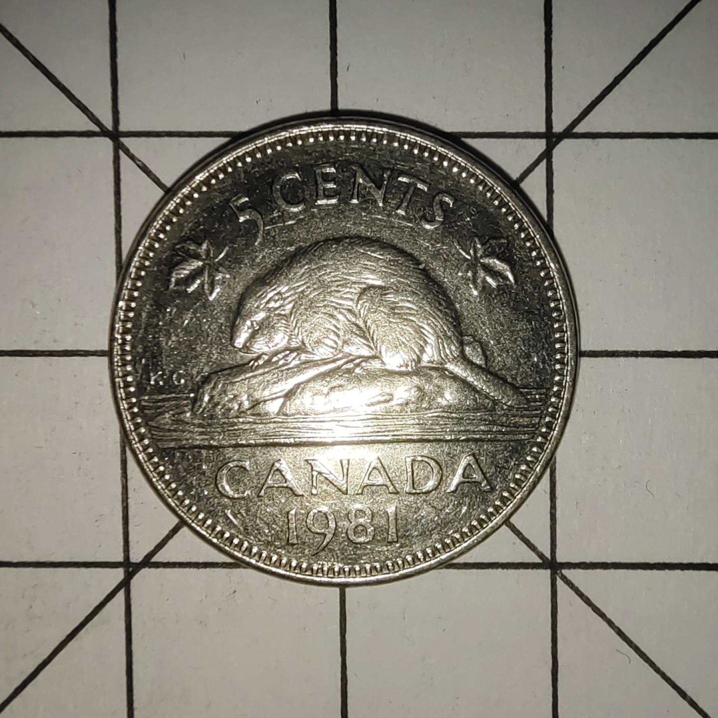 收藏之家世界硬币新年场(捡漏，无押金，无佣金，全场满20包邮，偏远地区除外) 加拿大5分1981年