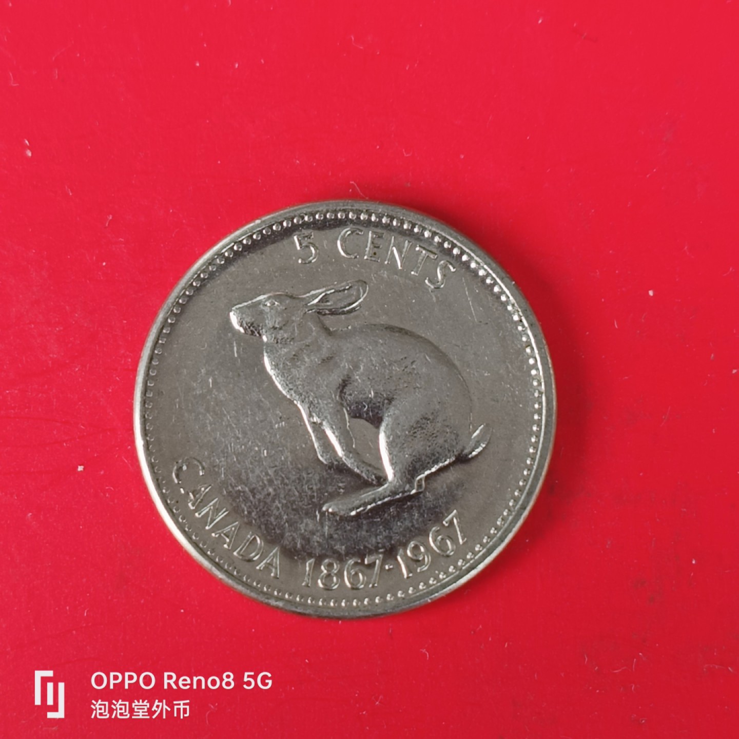 泡泡堂微拍第五十五幕硬币捡漏可累计专场👿👿，零佣金，零押金，累计满二十元包邮，接受代拍业务 加拿大七六年建国小兔子。