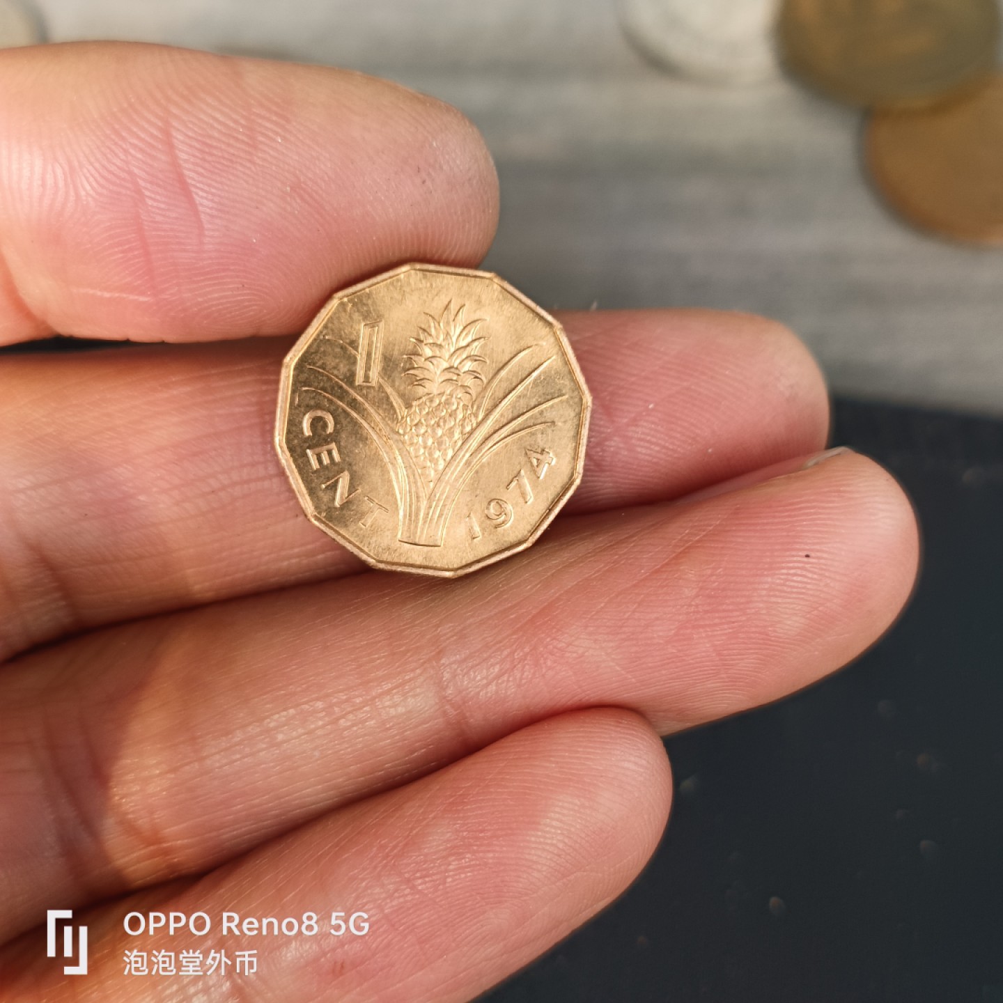 泡泡堂微拍第五十五幕硬币捡漏可累计专场👿👿，零佣金，零押金，累计满二十元包邮，接受代拍业务 斯韦士兰74年，粮农元光一分。