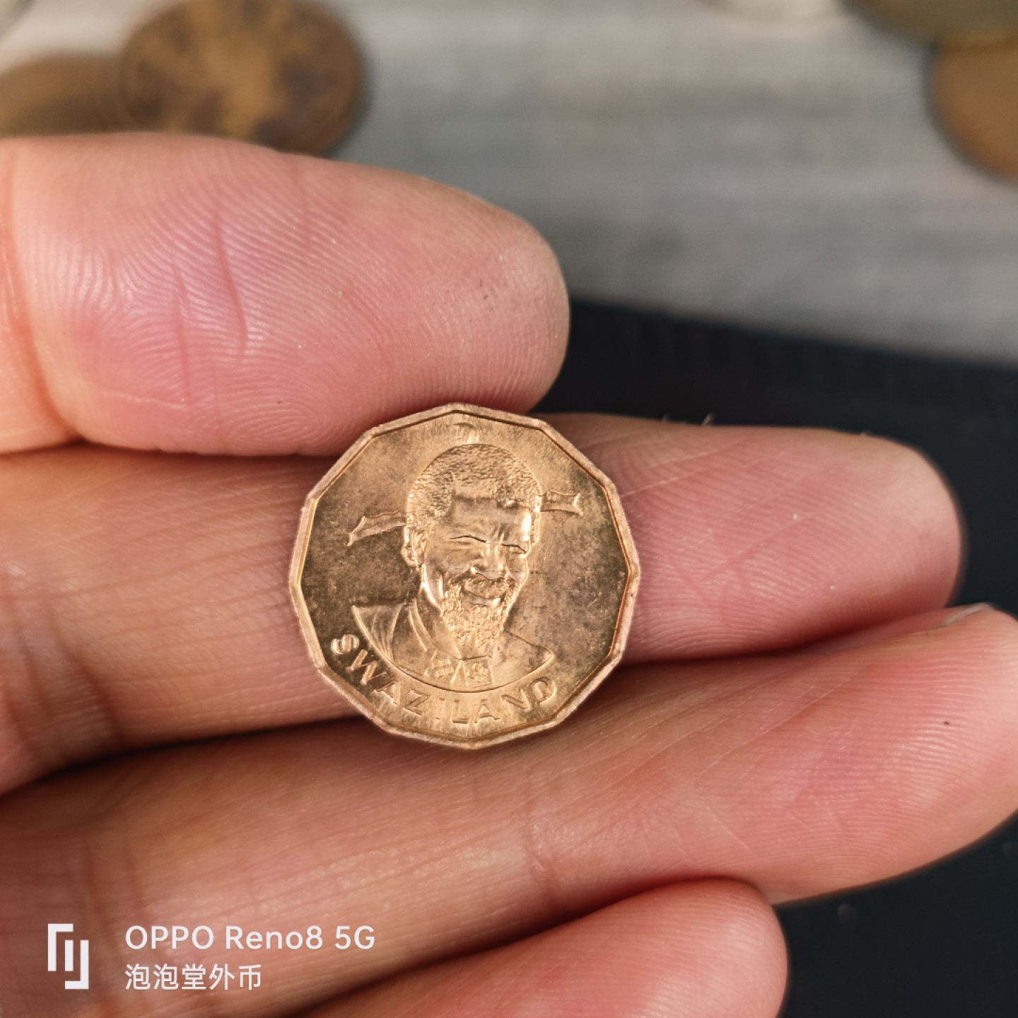 泡泡堂微拍第五十五幕硬币捡漏可累计专场👿👿，零佣金，零押金，累计满二十元包邮，接受代拍业务 斯韦士兰74年，粮农元光一分。