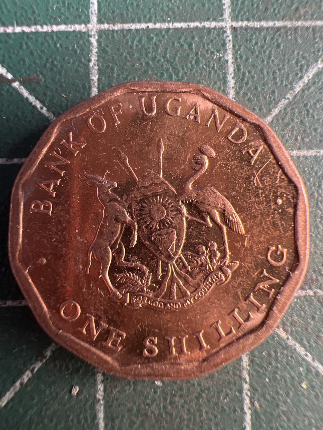 泡泡堂第216期  世界硬币（无押金，无佣金，捡漏，全场20包邮，偏远地区除外） 乌干达一先令